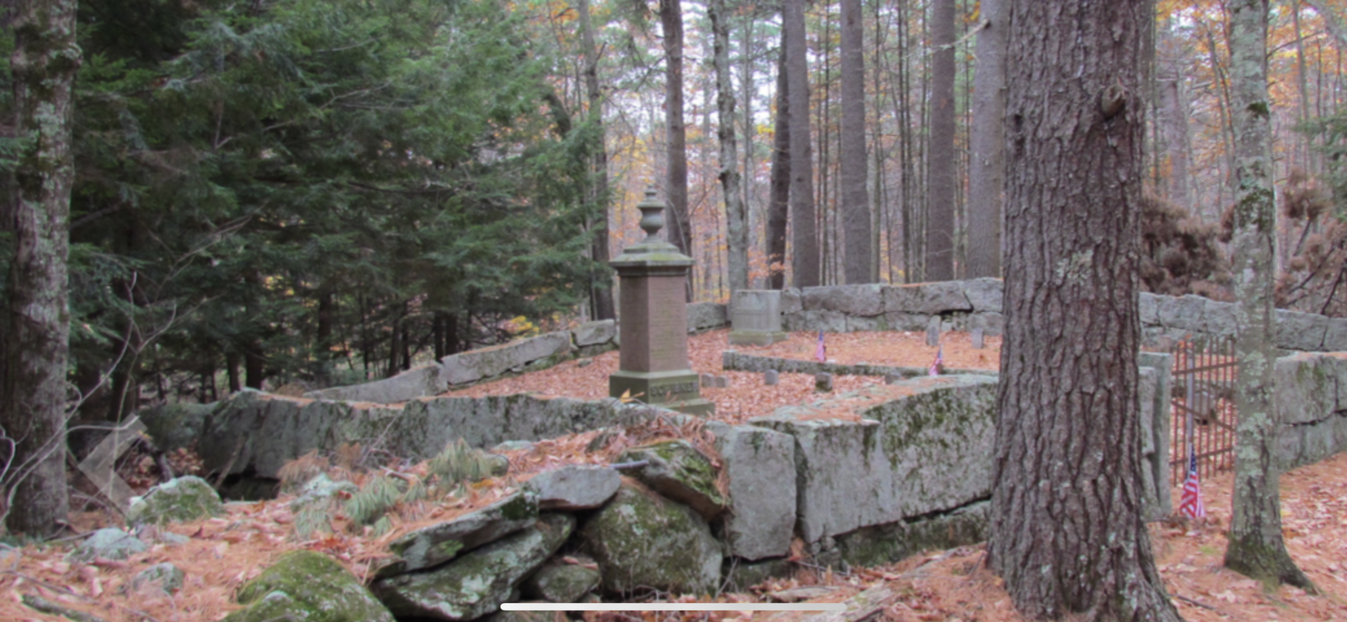 21A8D0F7-9550-4887-A420-FB9BF1010EFA